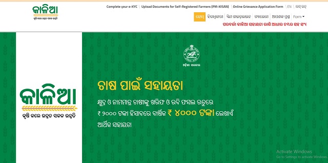 Kalia Yojana Portal