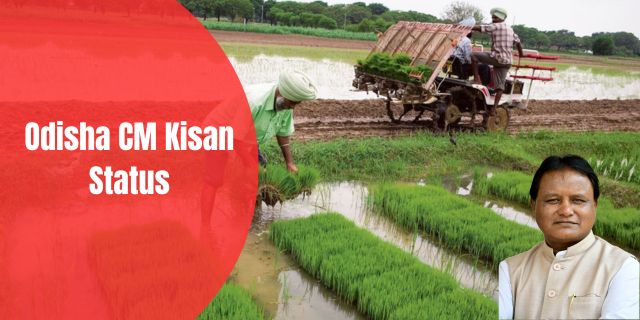 Odisha CM Kisan Status