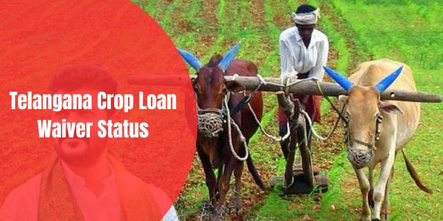 Telangana Crop Loan Waiver Status