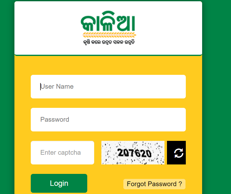 Login Form