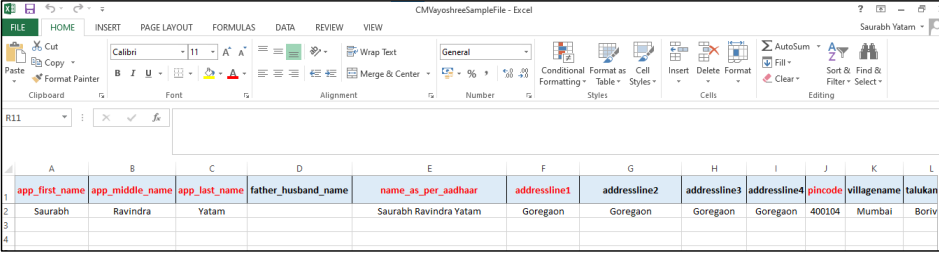 Excel file 