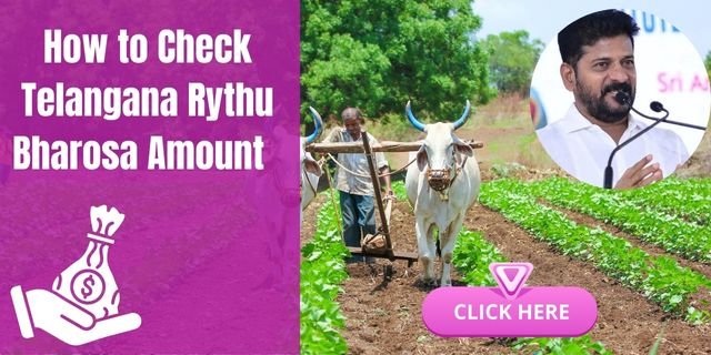 How to Check Telangana Rythu Bharosa Amount 